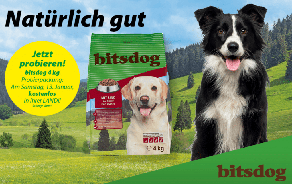 bitsdog gratis