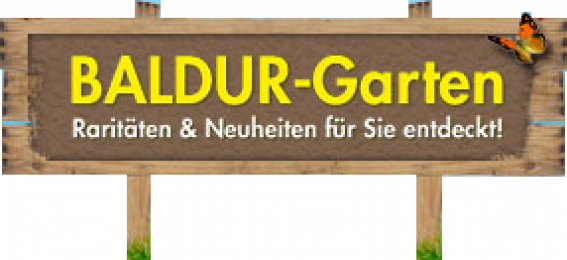 Baldur-Garten Gutschein 30% Rabatt ab CHF 50.- auf 1 Artikel