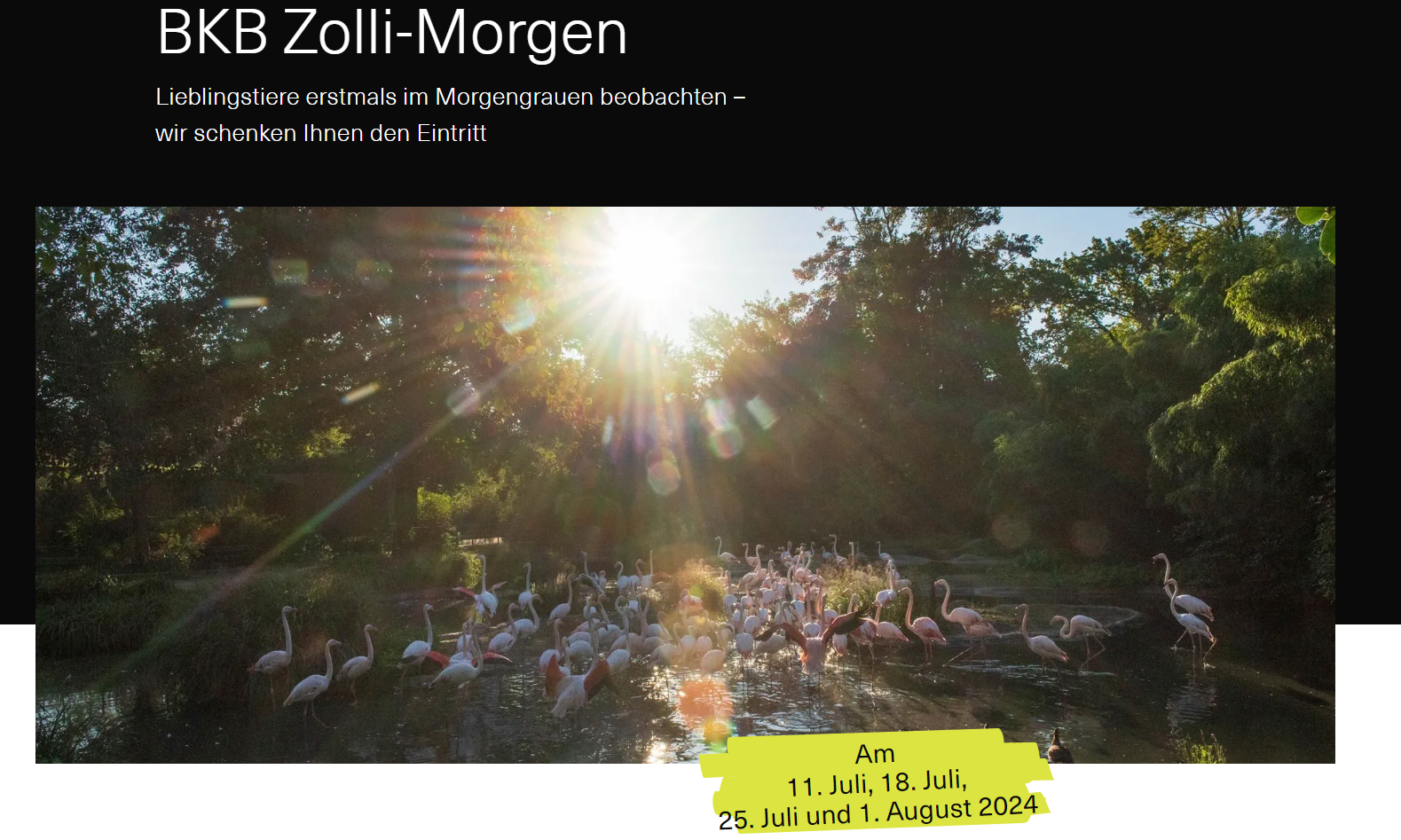 Gratisbesuch im Zoo Basel 18. Juli, 25. Juli, 1. August von 5-8 Uhr inkl. Getränk, Gipfeli und Tagesticket