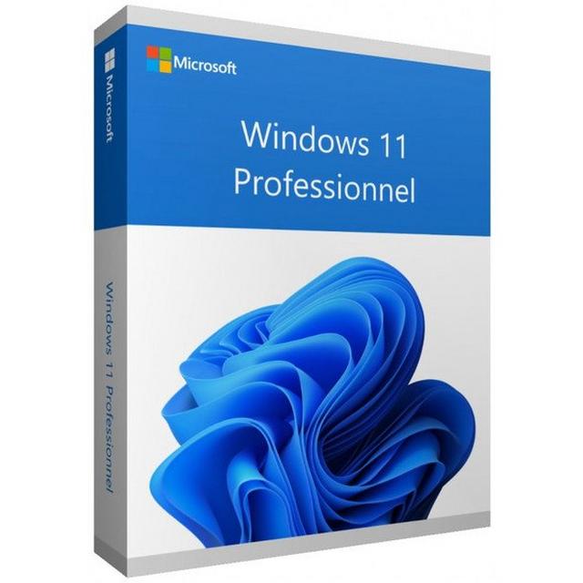 Windows 11 Pro zum Toppreis (Graulizenz)