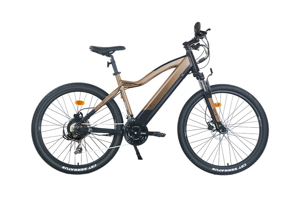 Zenith Ebikes für 900.-