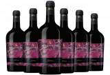6 Flaschen Rotwein Fellini Appassione Rosso 2020 inkl. Versand bei Schuler Weine