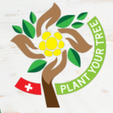 Kostenlos einen Baum pflanzen + Zertifikat erhalten