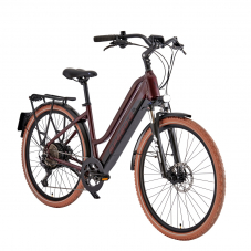 Günstigtes 45km/h Ebike