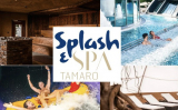 Splash & Spa Tamaro Tageseintritte (Twint Super Deals)