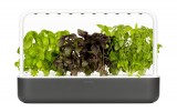 Click & Grow Indoor Kräutertopf Smart Garden 9 mit integrierter Beleuchtung bei den TWINT Superdeals