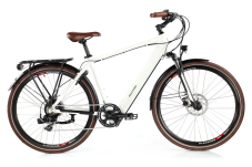 Allegro E-Bike Invisible Alltour Atil°02 Salt (28″, 48 cm, 250 W) inklusive Lieferung bei Jumbo