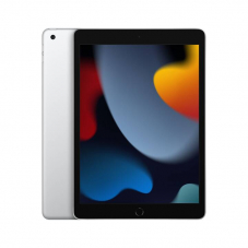 Apple iPad (2021, WiFi, 256GB) bei microspot