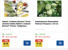 Beerensträucher 50% Reduziert und Versandkostenfrei bei Jumbo