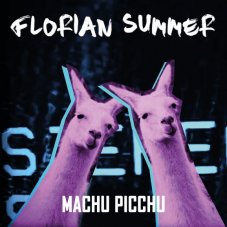 Gratis Song «Machu Picchu» von Florian Summer