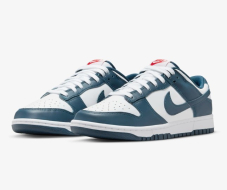 Nike Dunk Low Retro Herrenschuhe in Valerian Blau (38.5 – 49.5) zum Toppreis