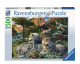 Ravensburger Wolfsrudel im Frühlingserwachen (1500 Teile)