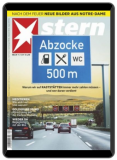 12 Monate Stern als ePaper gratis