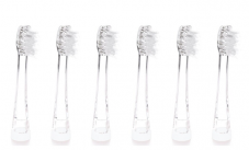 AILORIA Bubble Brush Ersatzbürsten – 6er Pack bei Ackermann