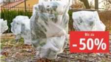 Bis zu -50% auf Winterschutz-Artikel z.B. Jardin Royal Wand-Gewächshaus | 2 × 1 m