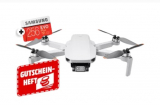 Dji Mini 2 Fly More Combo mit 256GB Speicherkarte