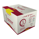 PANINI FIFA World Cup Qatar 2022™ Sticker Box für CHF 67.90 bei Interdiscount