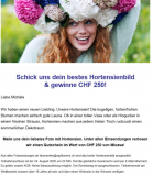 10% Rabatt auf Hortensien bei SayFlowers