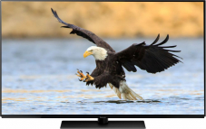 Panasonic TX-55FZC804 139 cm 4K OLED TV bei melectronics im 24h Hit